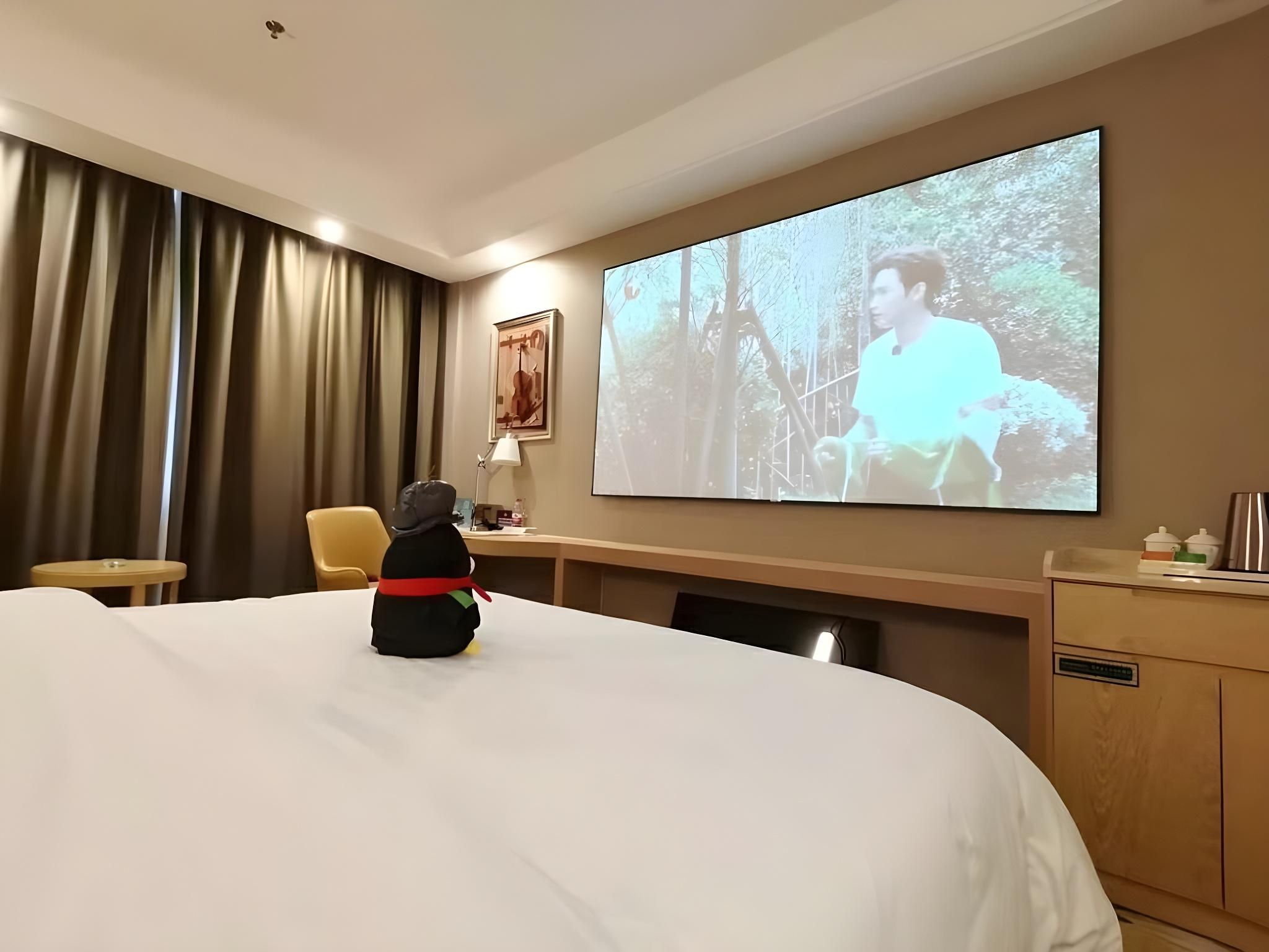 Vienna - Cinema Bed Room