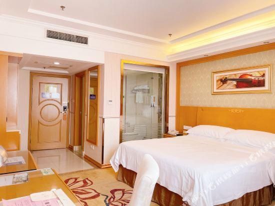 Vienna - Deluxe Room