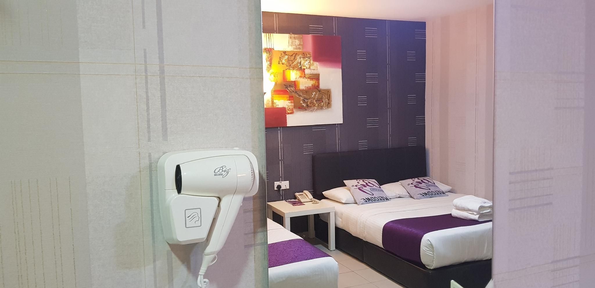 BIZ HOTEL Deluxe Window 2