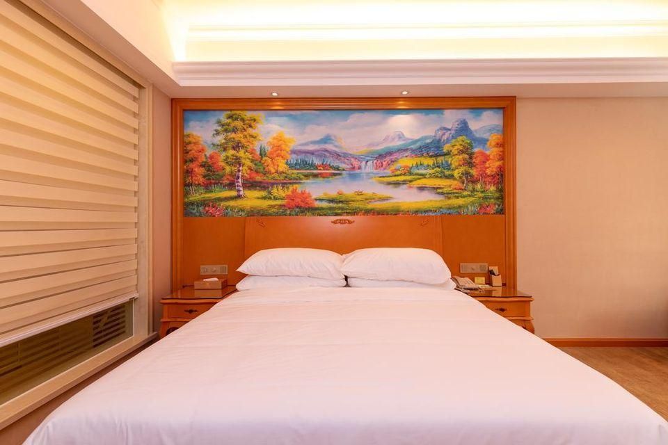 Vienna - Deluxe Room