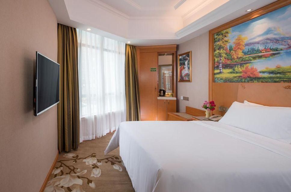 Vienna Hotel Guangdong Shaoguan Shixing Vienna - Functional Chess Room 2