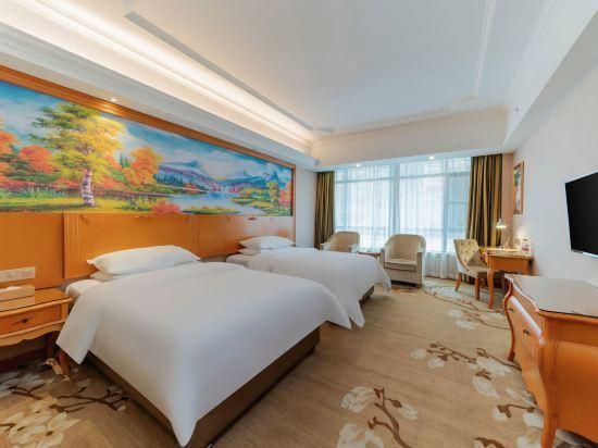 Vienna Hotel Guangdong Shaoguan Shixing Vienna - Deluxe Twin 2