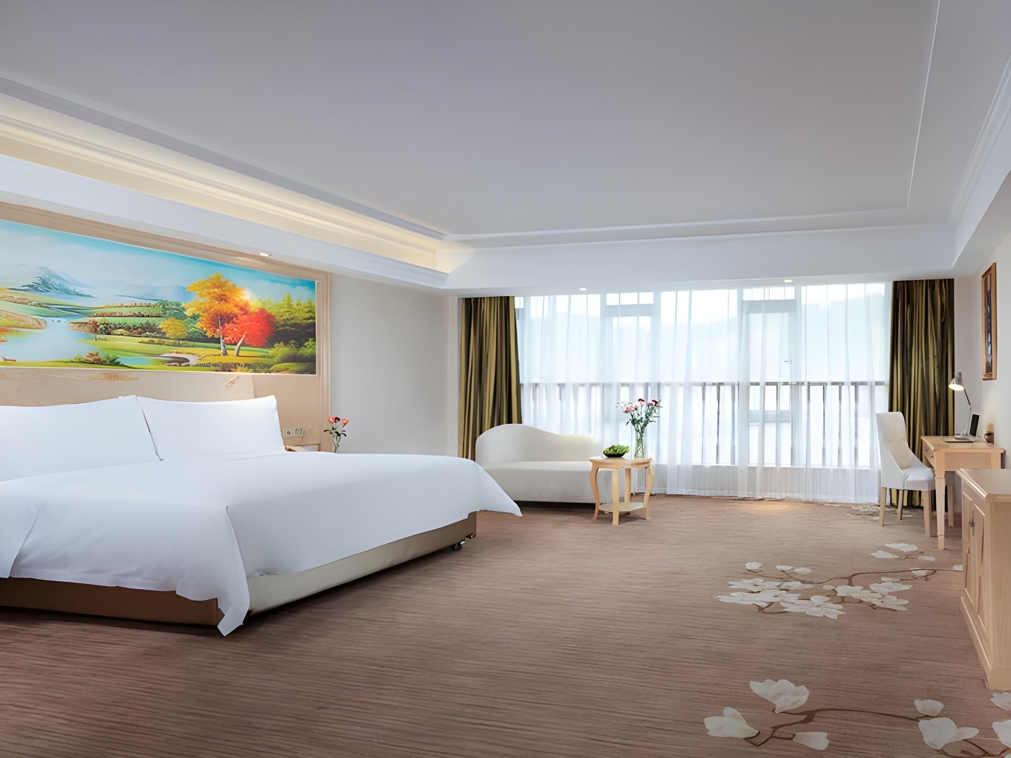Vienna Hotel Guangdong Shaoguan Shiliting Vienna - Executive 1 Bed Room