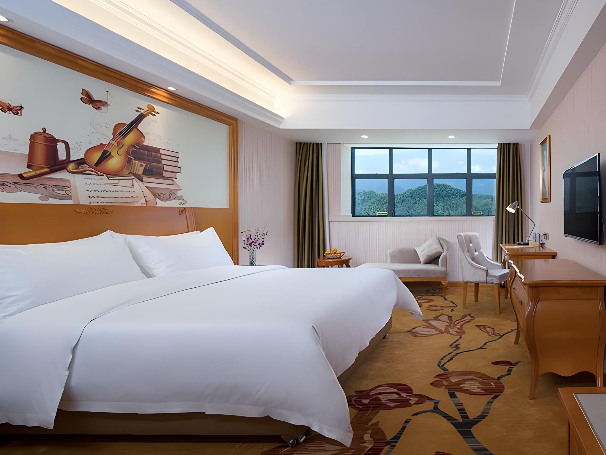 Vienna Hotel Guangdong Shaoguan Xinfeng Vienna - Standard 1 Bed Room