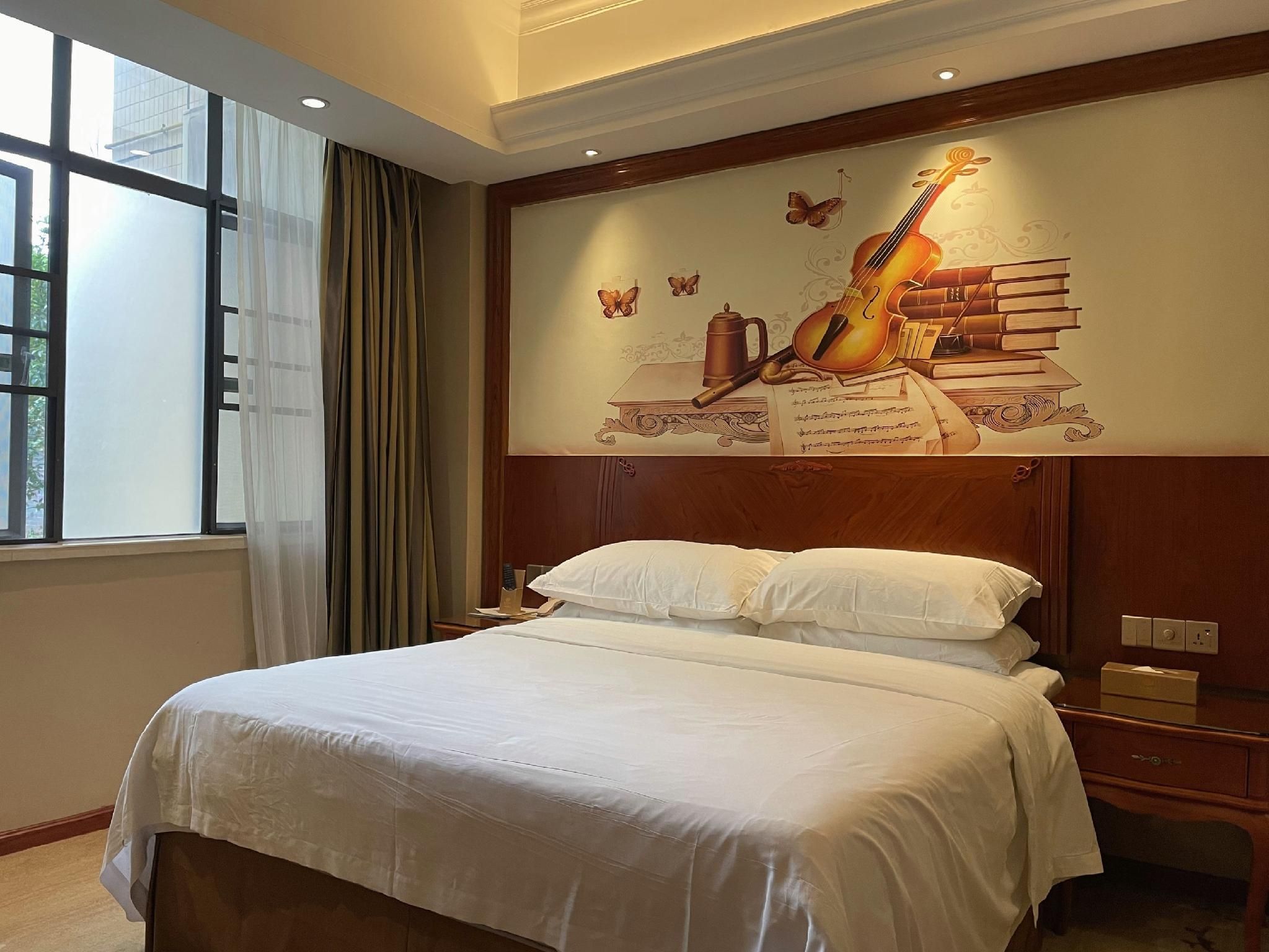 Vienna Hotel Guangdong Shaoguan Qujiang Shunjing Standard Singe Room 2