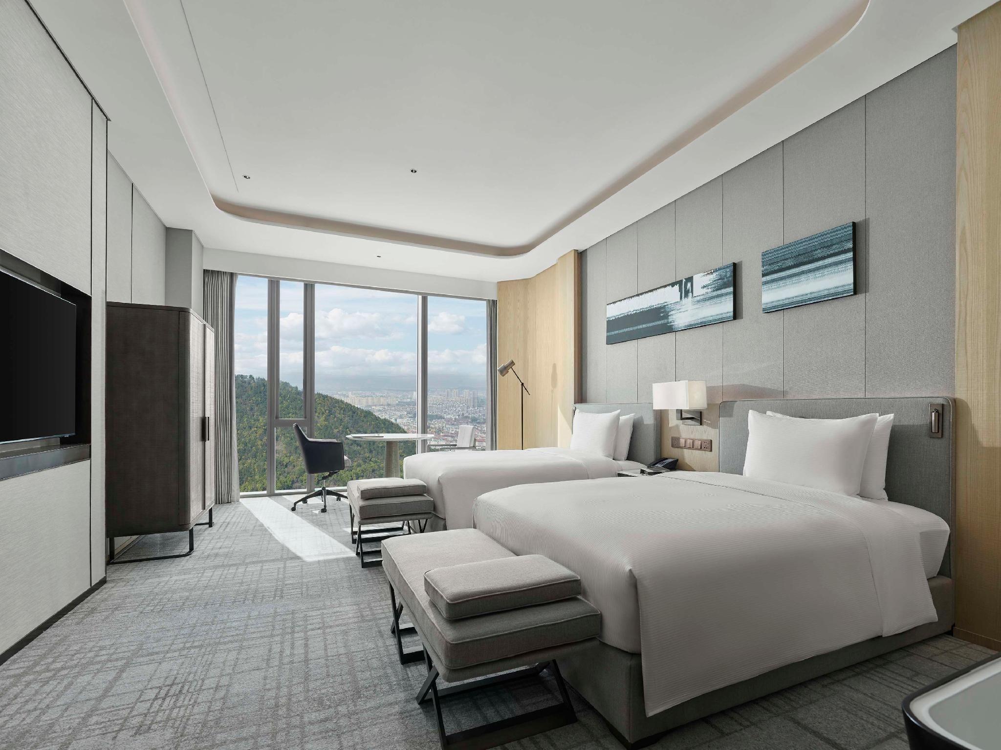 Twin Deluxe Mountain View Room