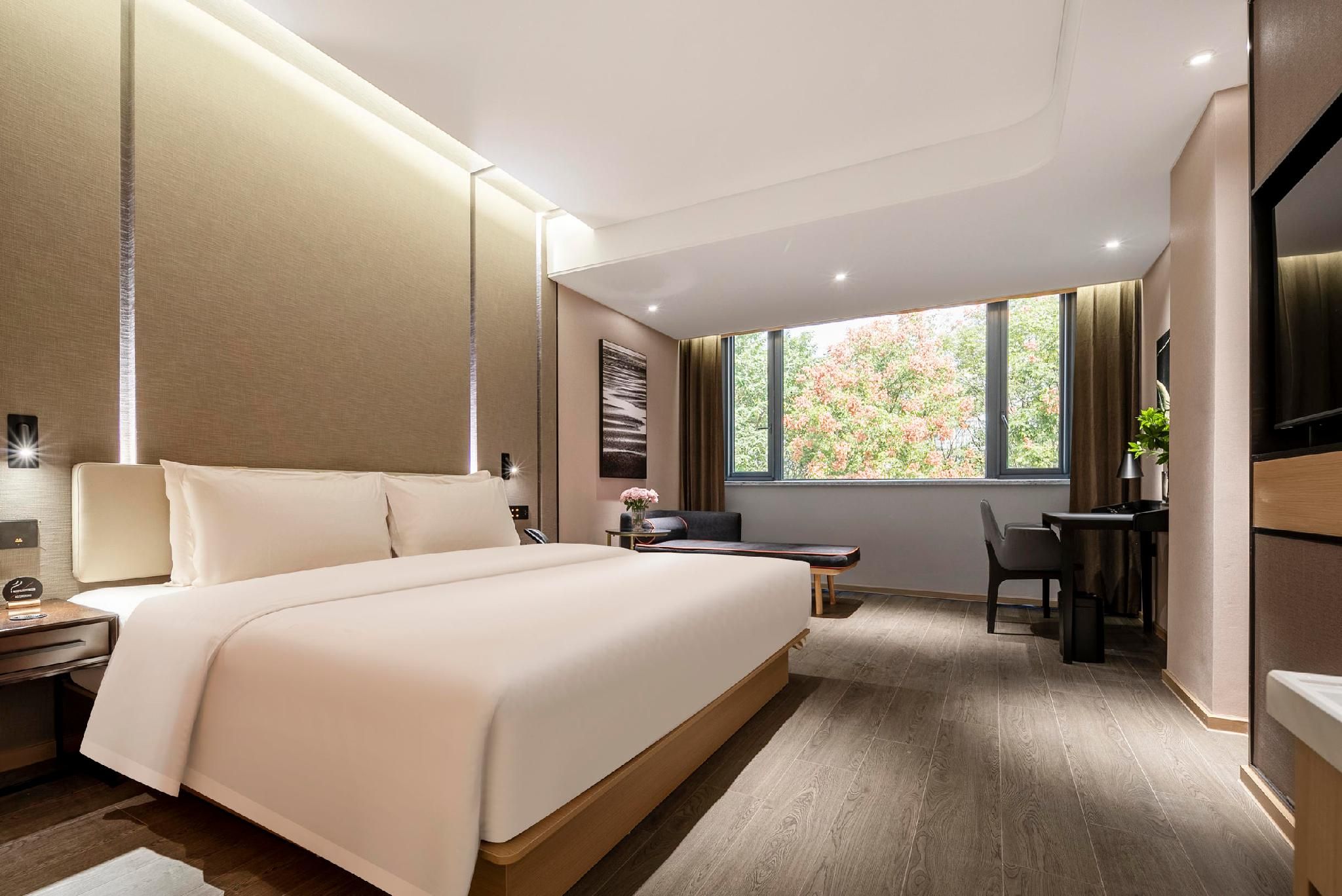 Executive room, Guest room, 1 Queen
