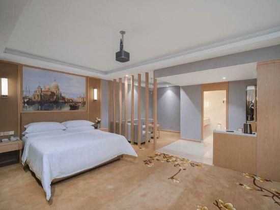 Vienna - Standard 1 Bed Room