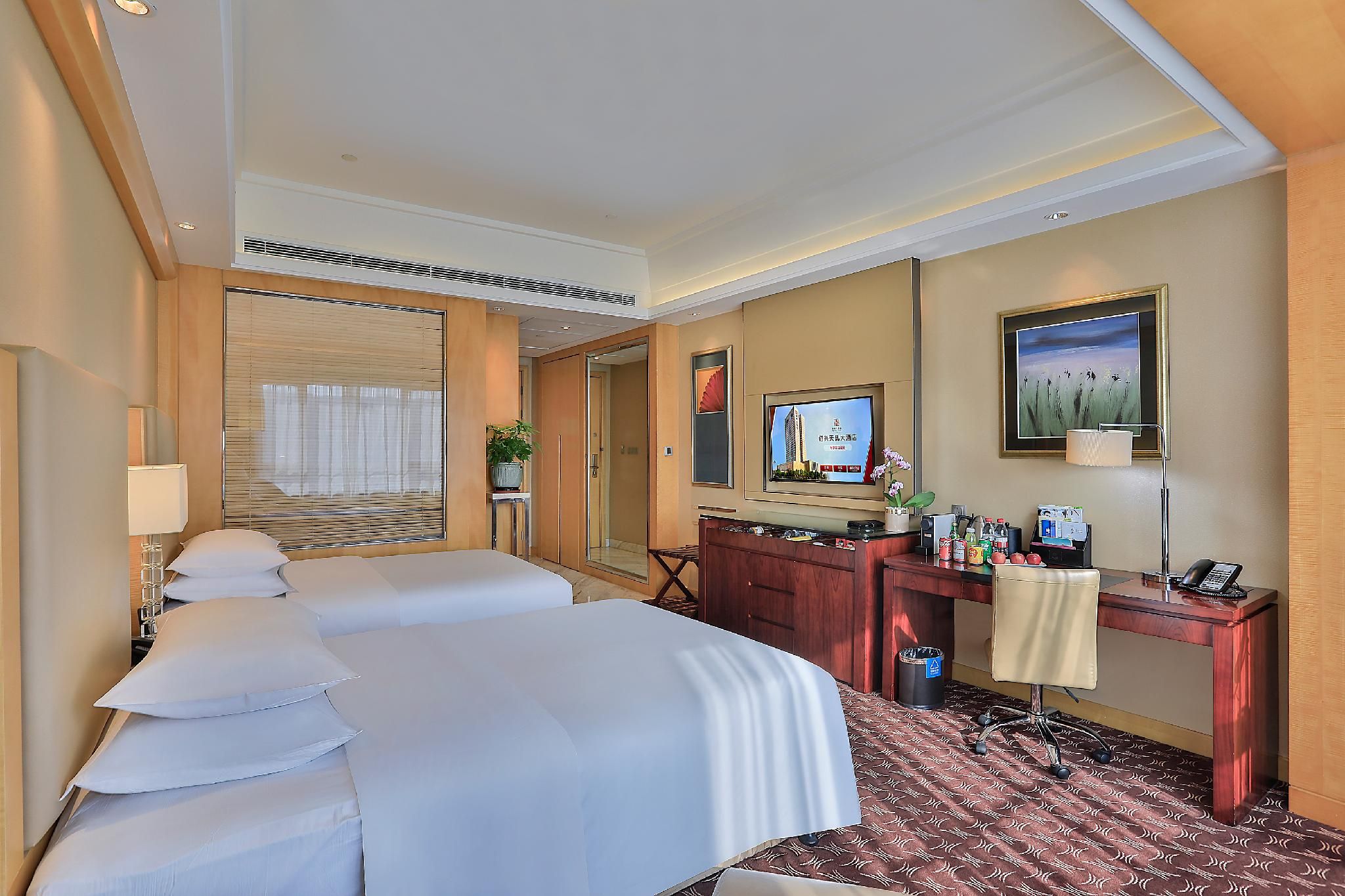 Executive Twin Room