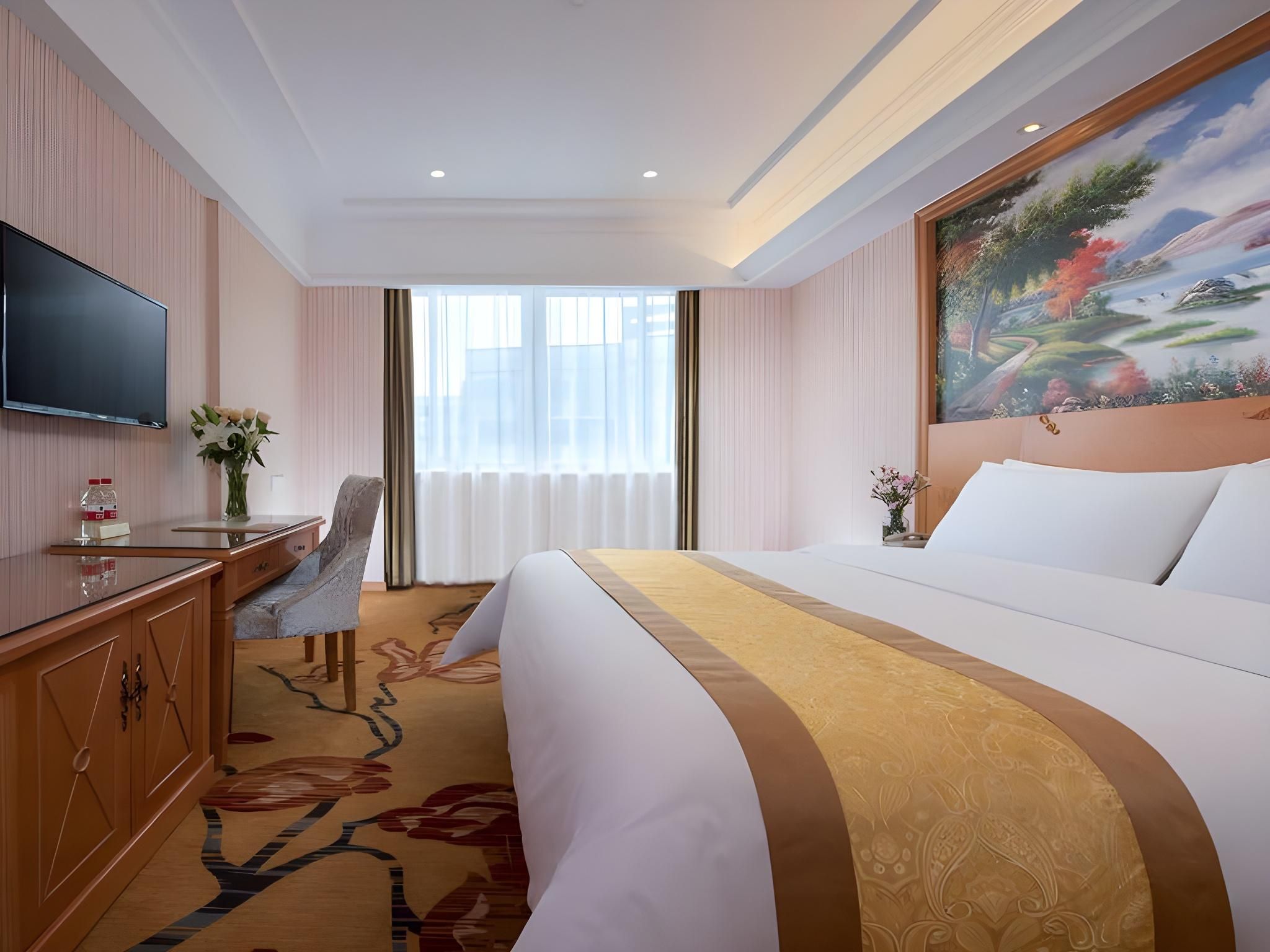 Vienna - Deluxe Room