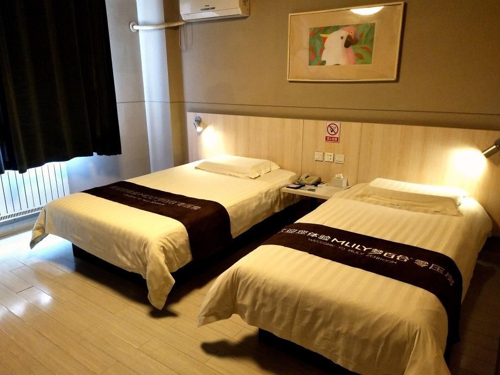 Jinjiang - Destress Standard A