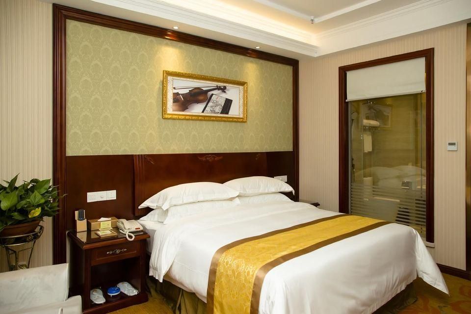 Vienna - Deluxe Room