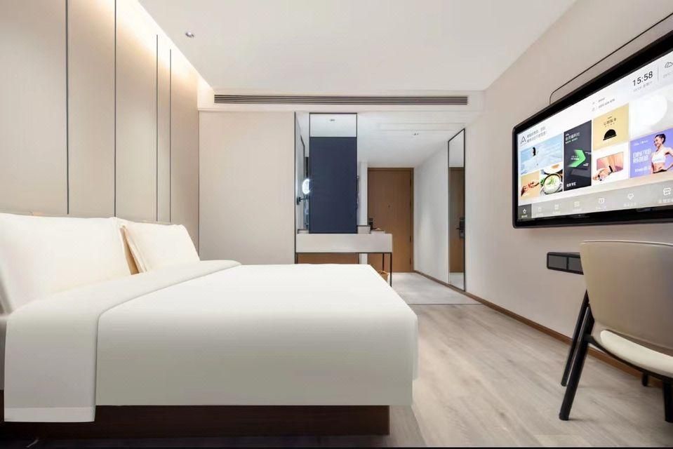 Executive room, Guest room, 1 Queen