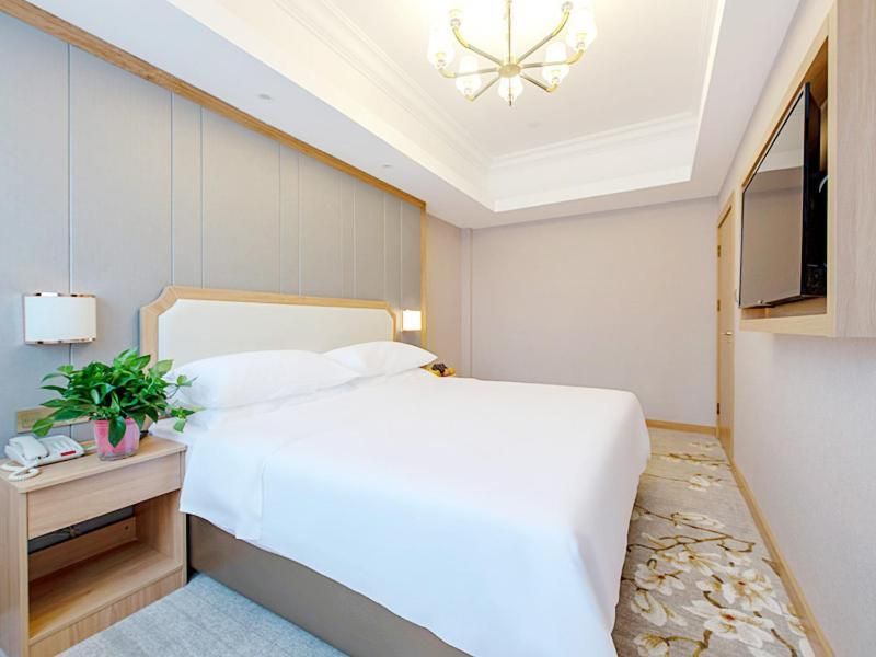 Vienna - Executive Suite
