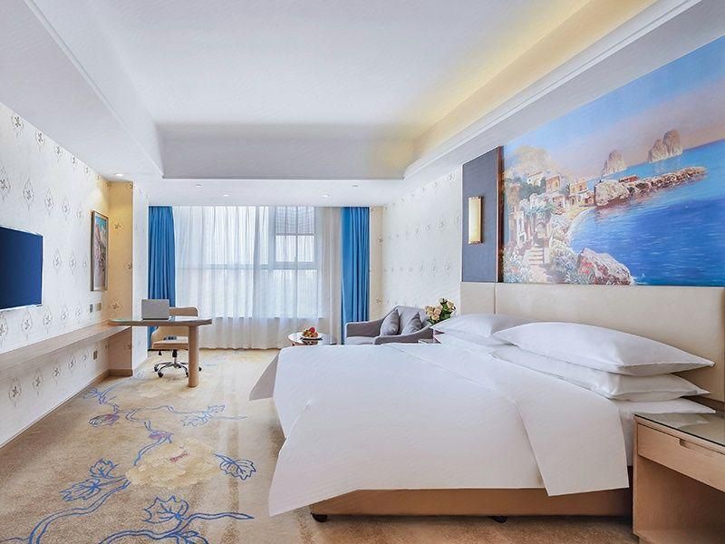 Vienna - Executive 1 Bed Room