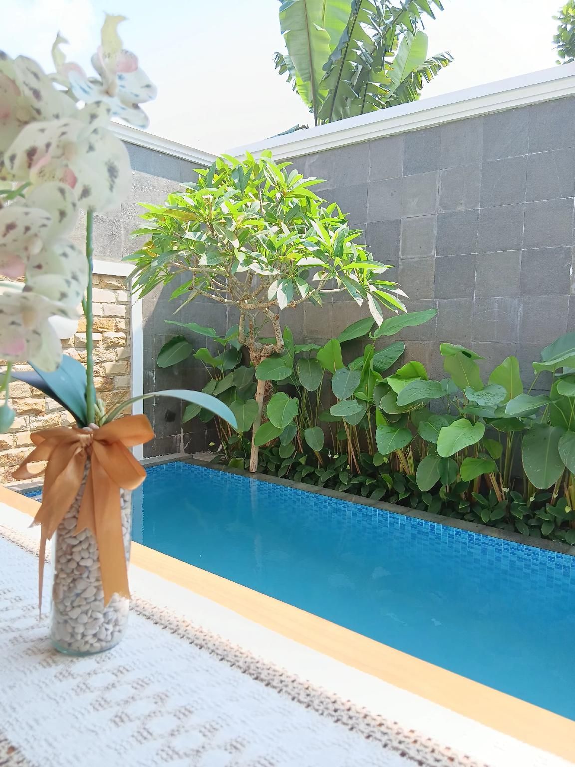 Ardisan Guesthouse