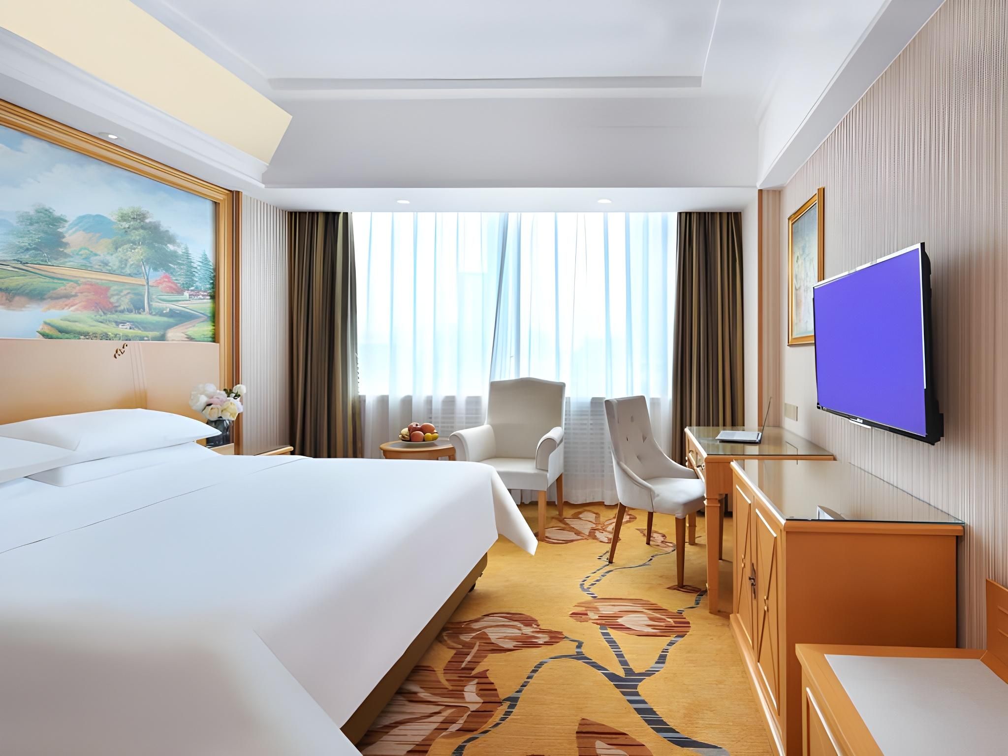 Vienna - Deluxe Room