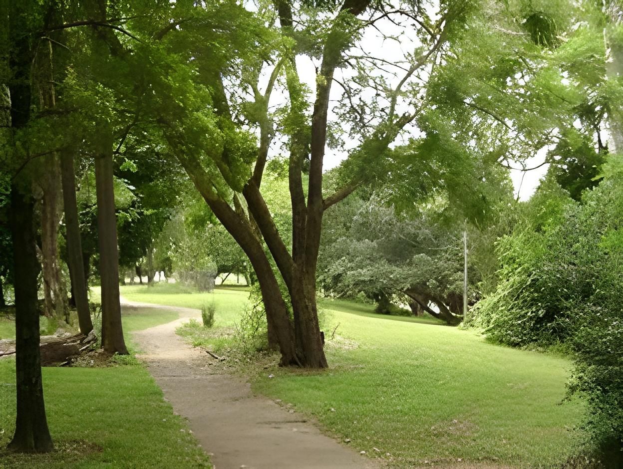 surrounding environment