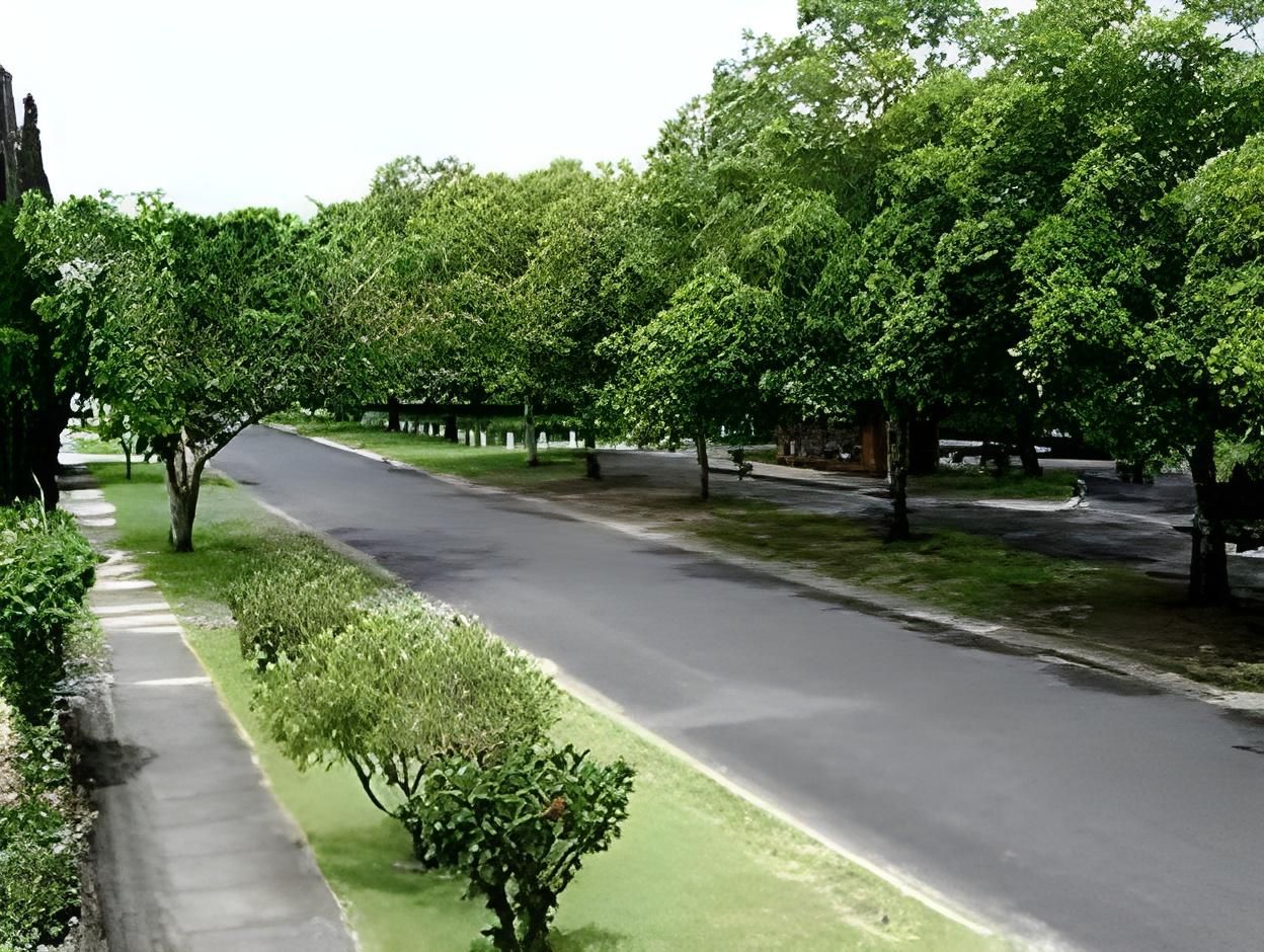 surrounding environment