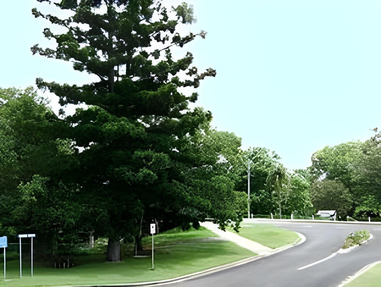 surrounding environment