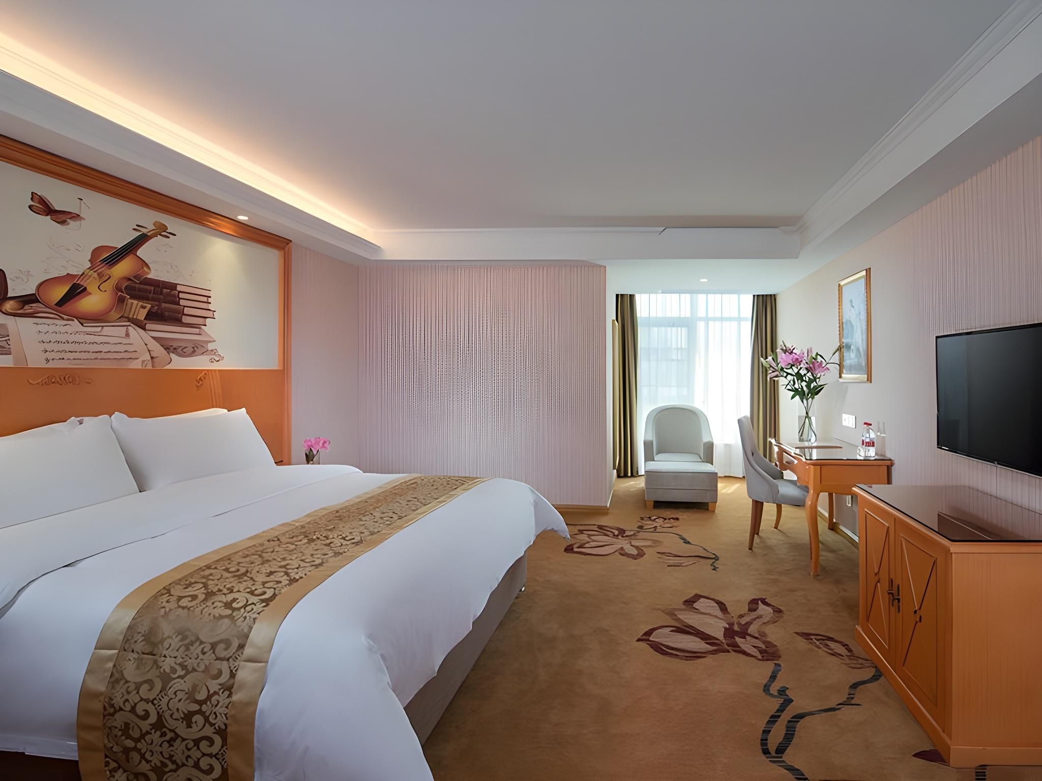 Vienna - Deluxe Room