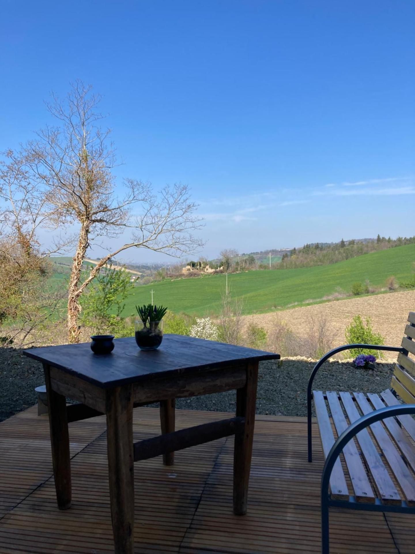 surrounding environment