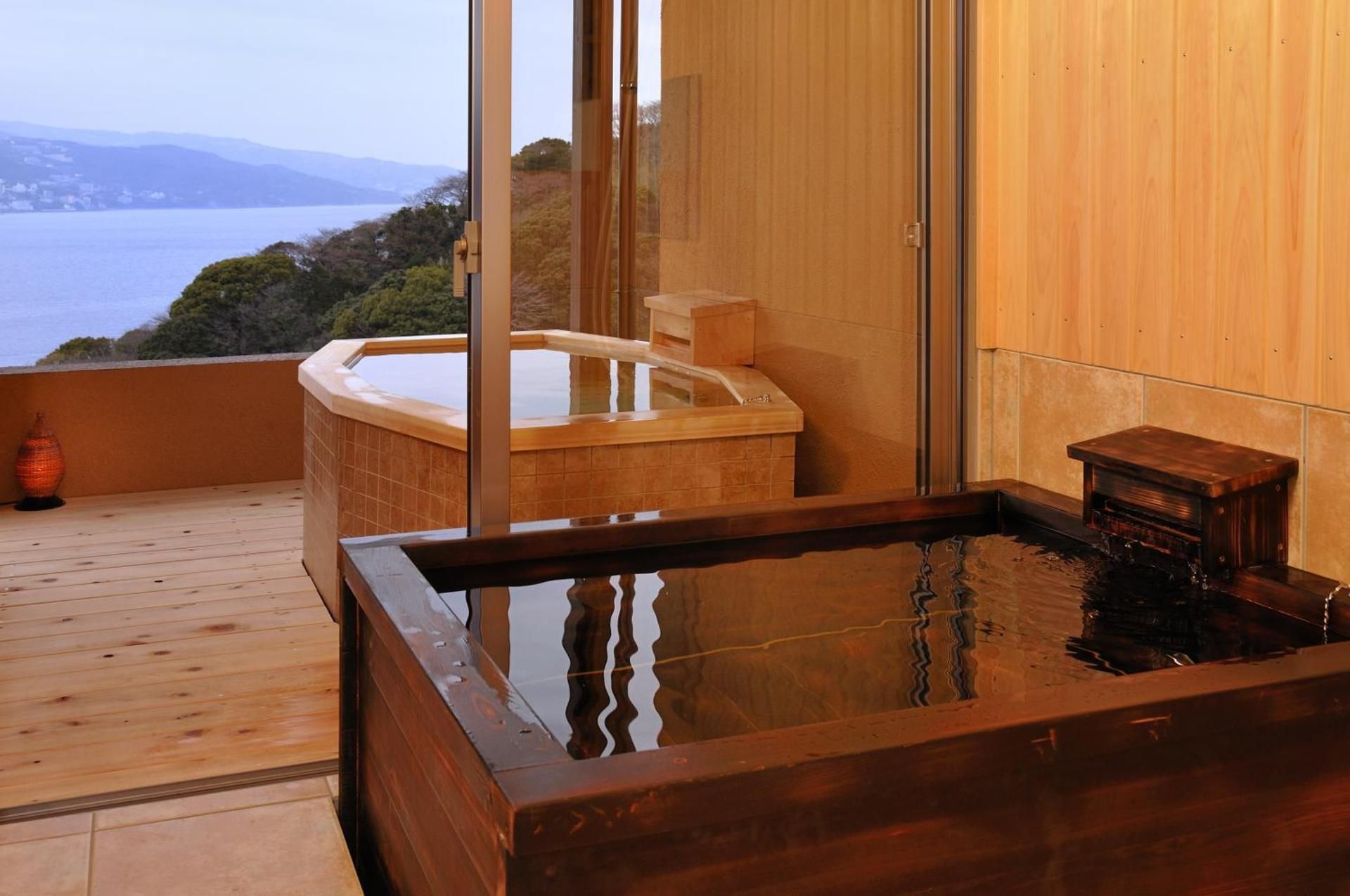 Annex Deluxe Japanese Western Style Room