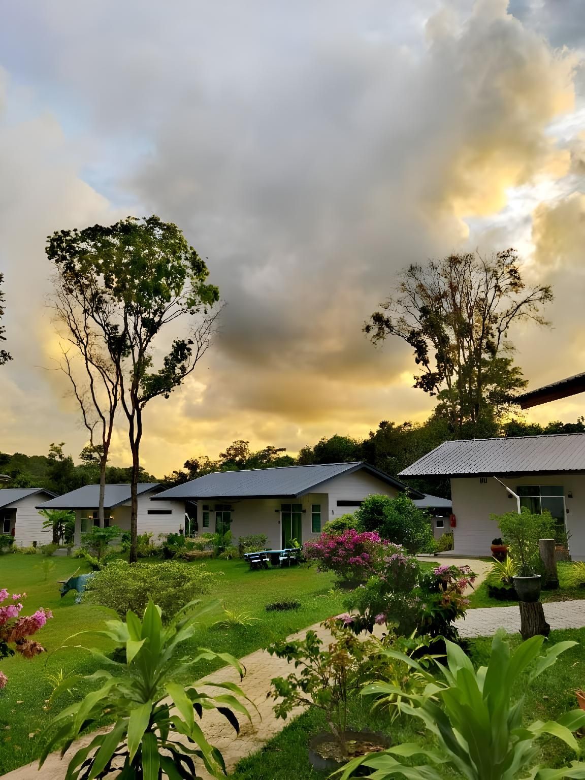 surrounding environment