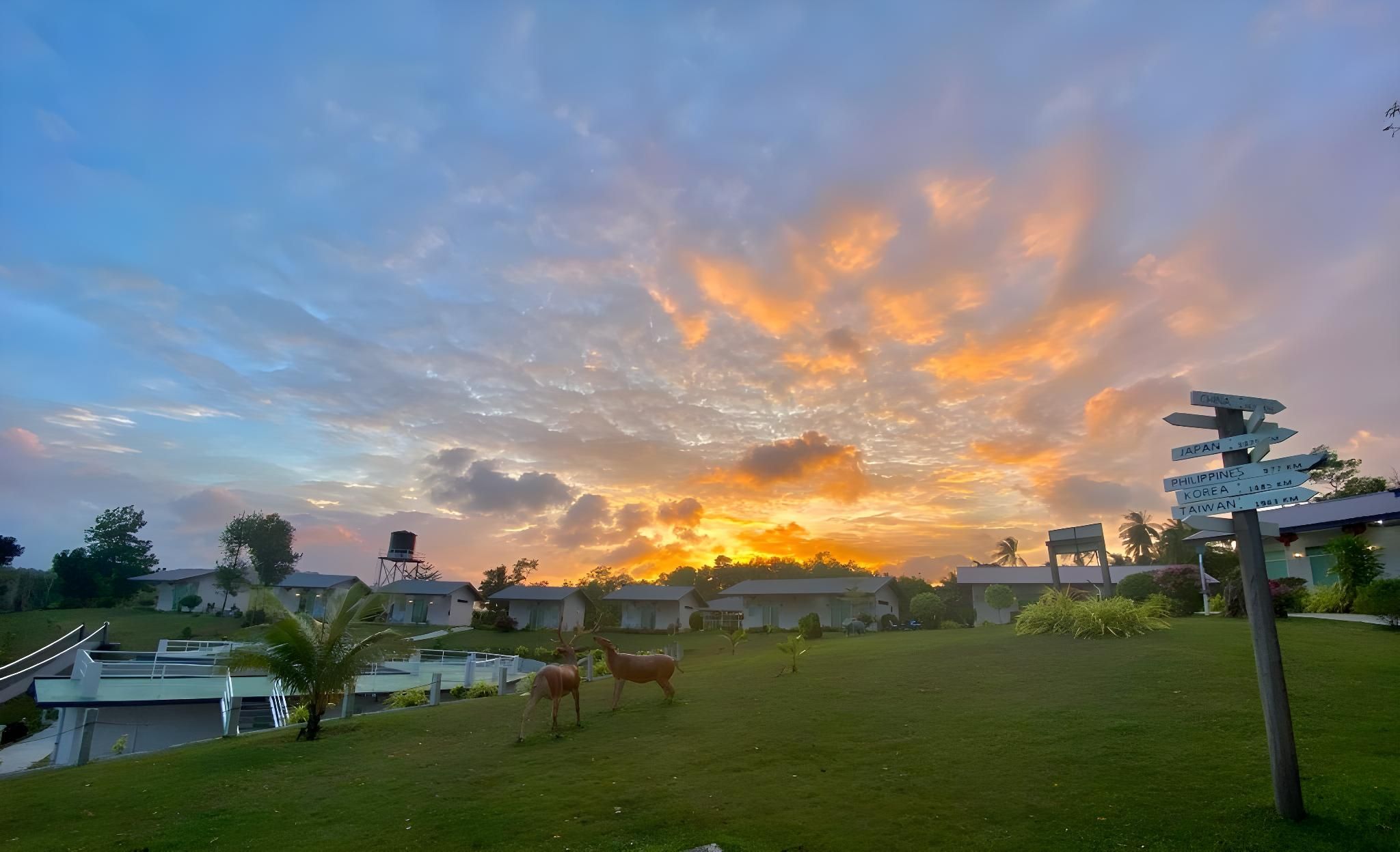 surrounding environment