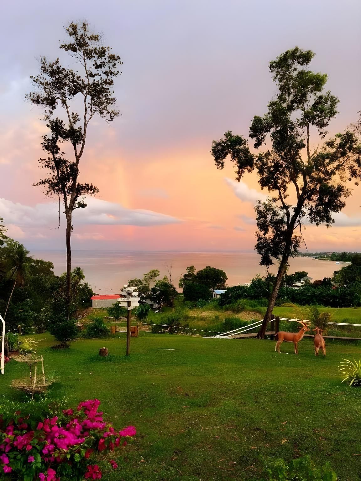 surrounding environment