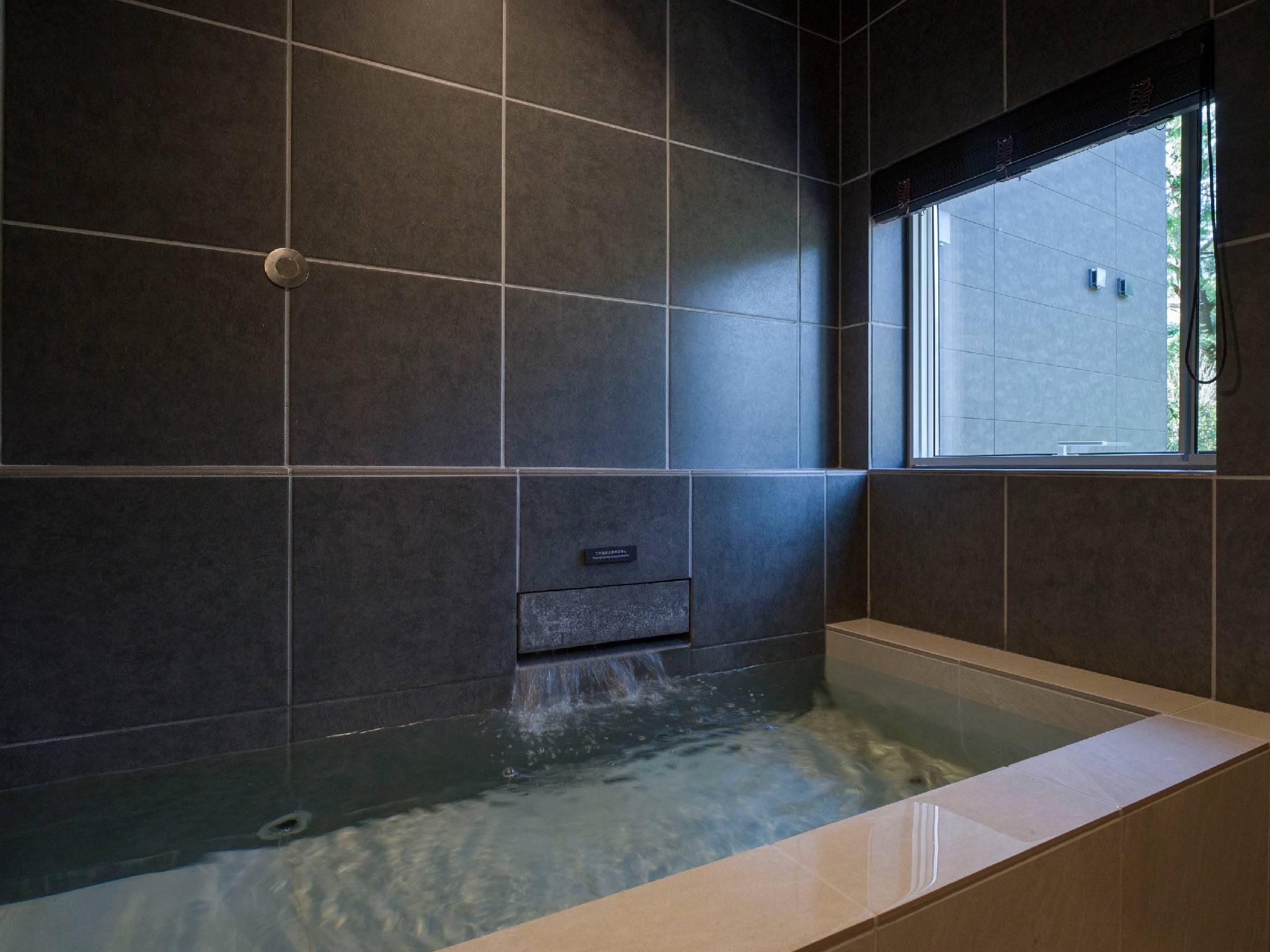A Type - Natural Hot Springs, Sauna, Zero-Gravity Massage Chair