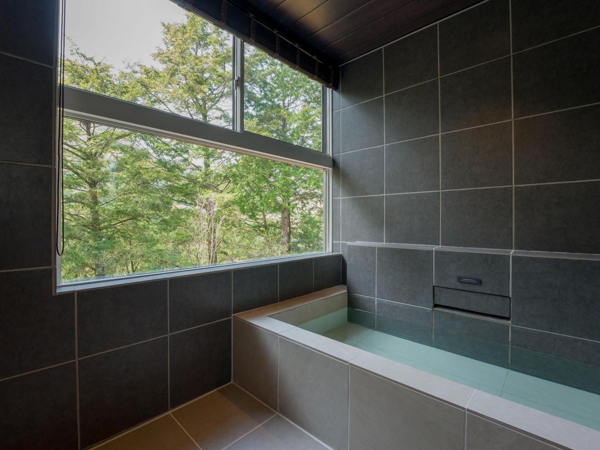 B type：Natural hot springs, sauna, dog run [dog-friendly]