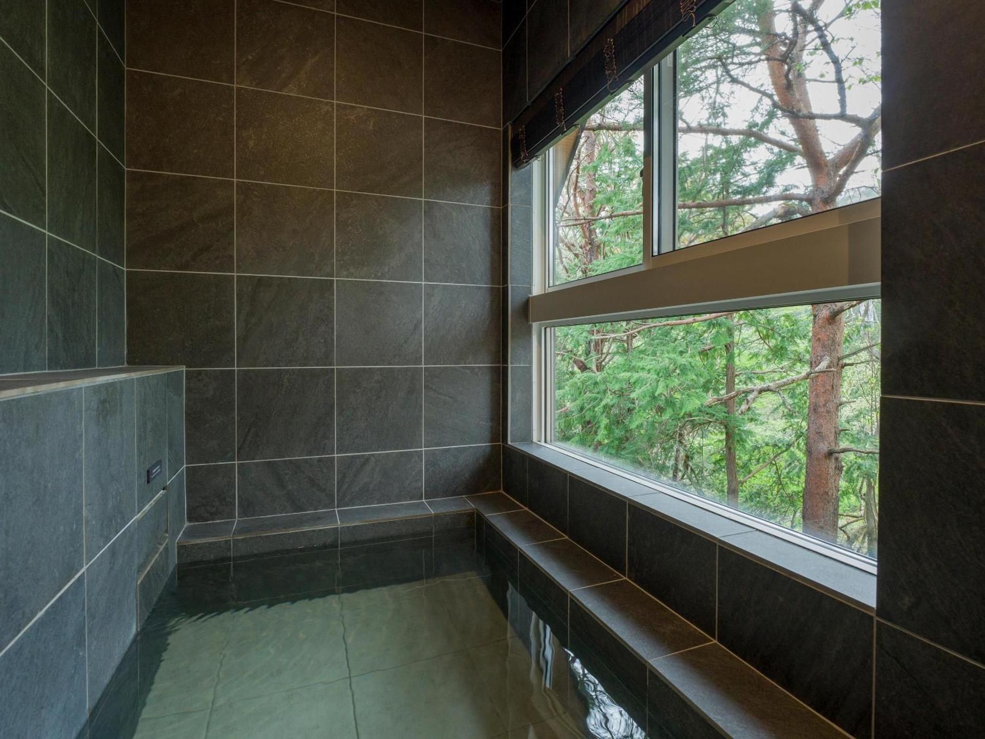 D2 type:Natural hot springs, sauna, 75-inch large TV