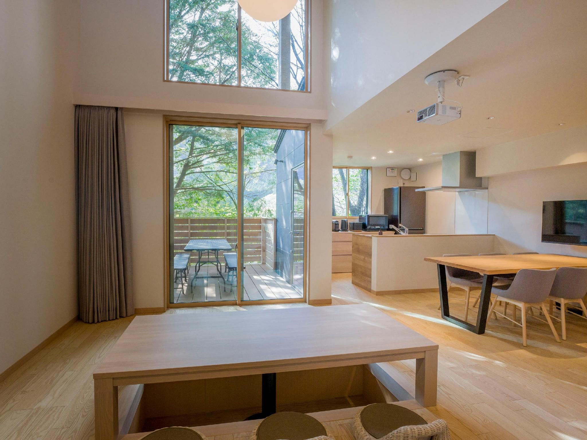 D1 Type - Natural Hot Springs, Sauna, Living Room Projector