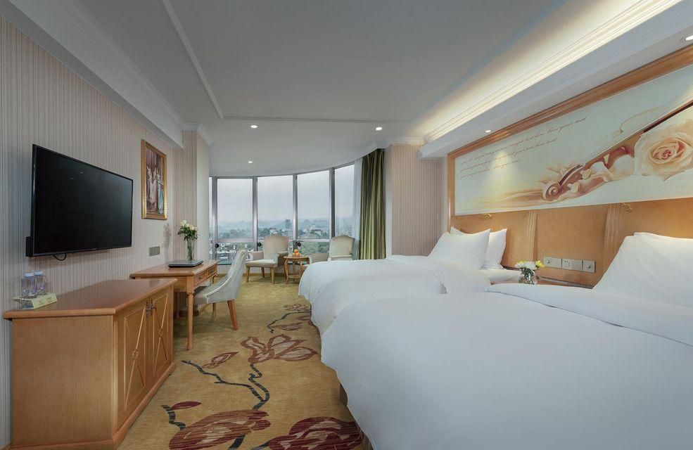 Vienna Classic Hotel Qingyuan Lianzhou Tower Vienna - Business Twin Room