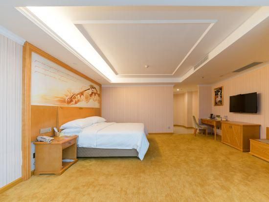 Vienna - Deluxe Room