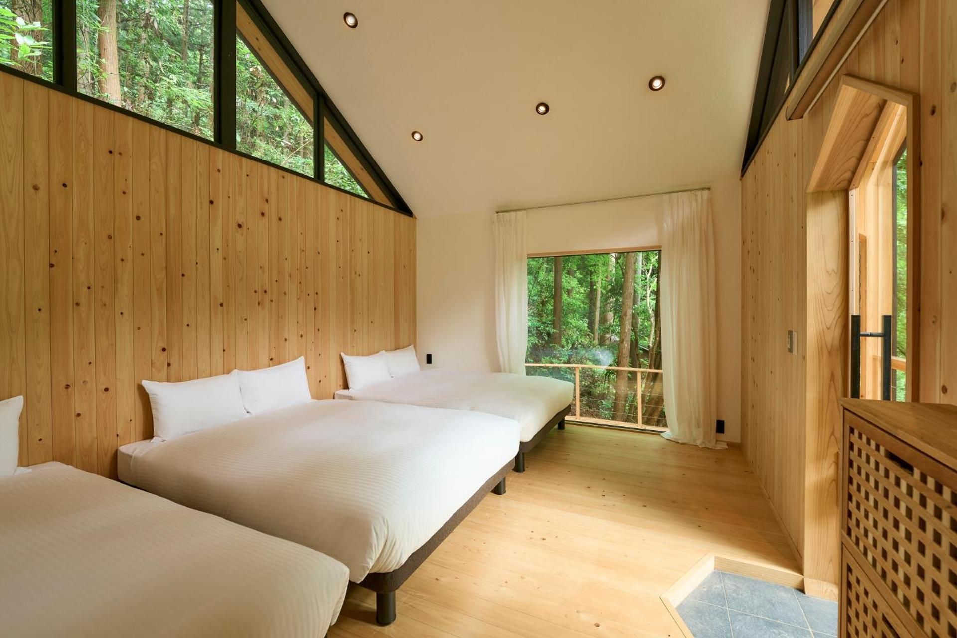 Triple Room with Terrace