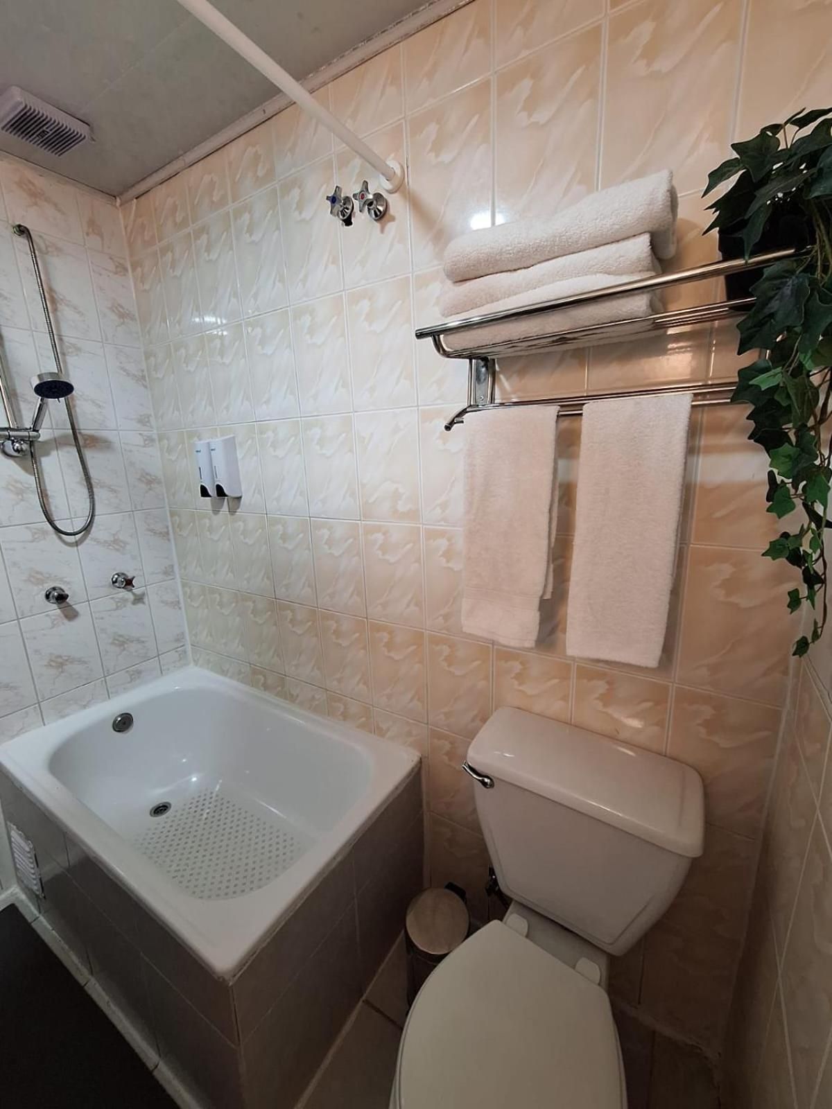Budget Triple Room