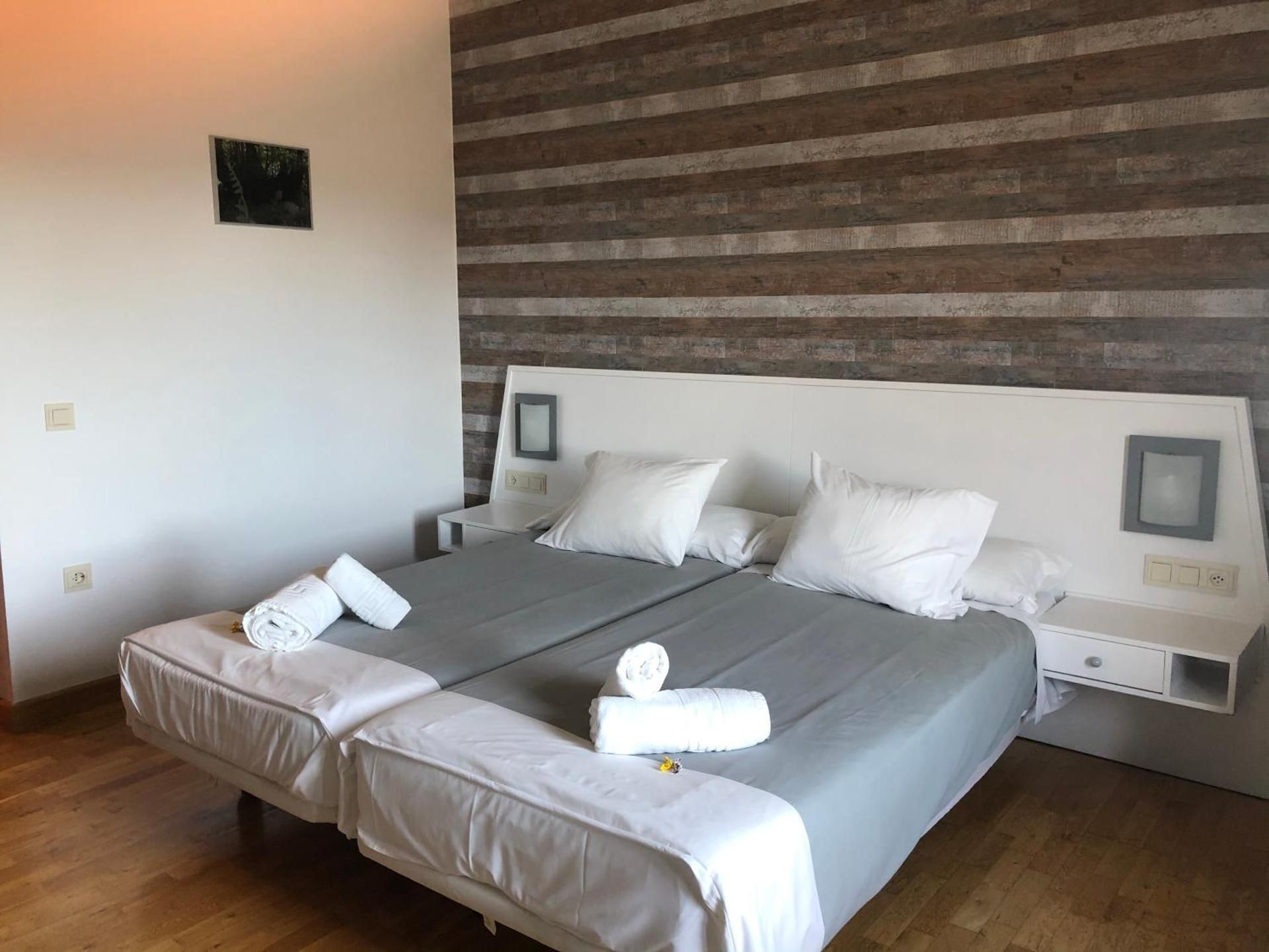 Deluxe Double or Twin Room with Mountain View