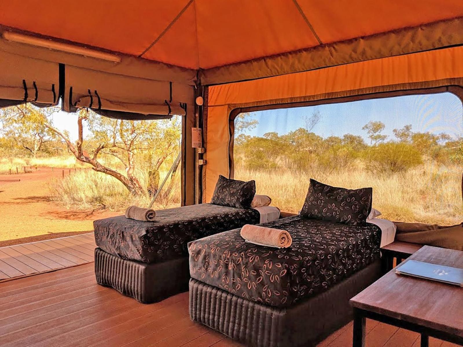Deluxe Eco King or Twin Tent