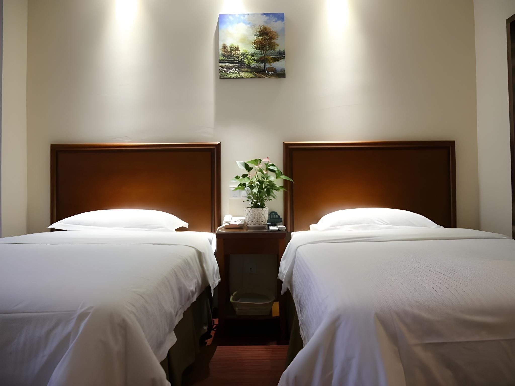 Guest Twin Room