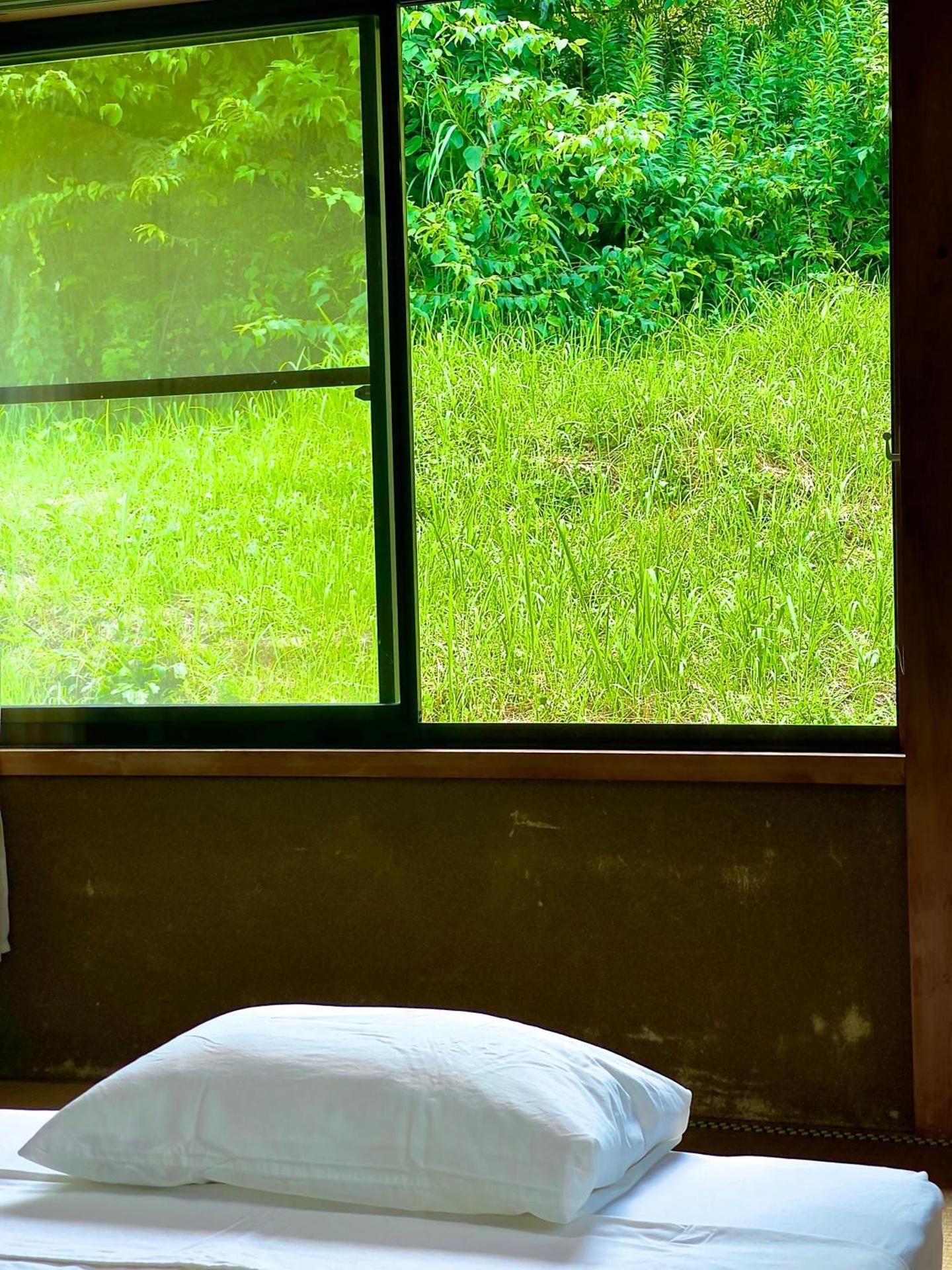 Single Room with Shared Bathroom
