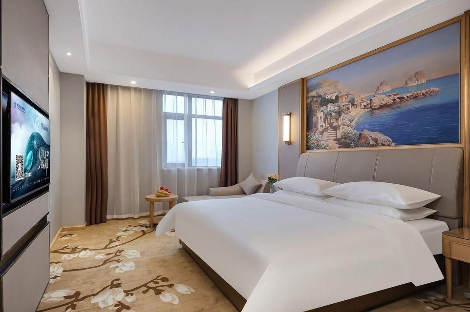 Vienna Hotel Anhui Suixi Development Zone Executive Suite