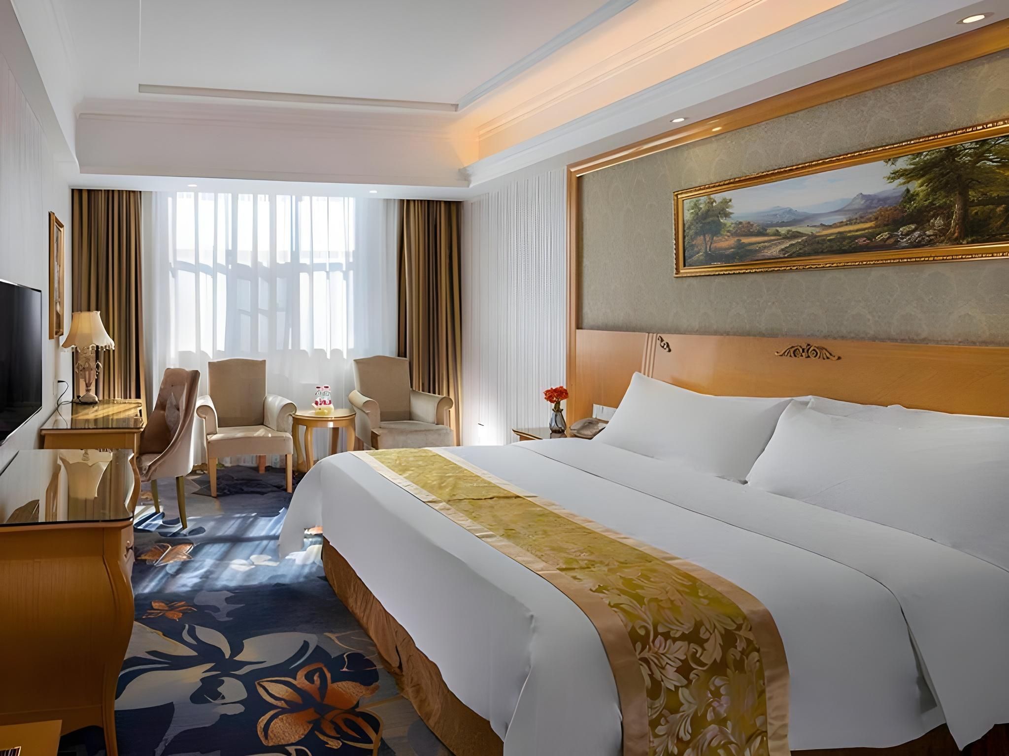 Vienna Hotel Meizhou Jiangnan                                                                     Vienna - Business 1 Bed Room