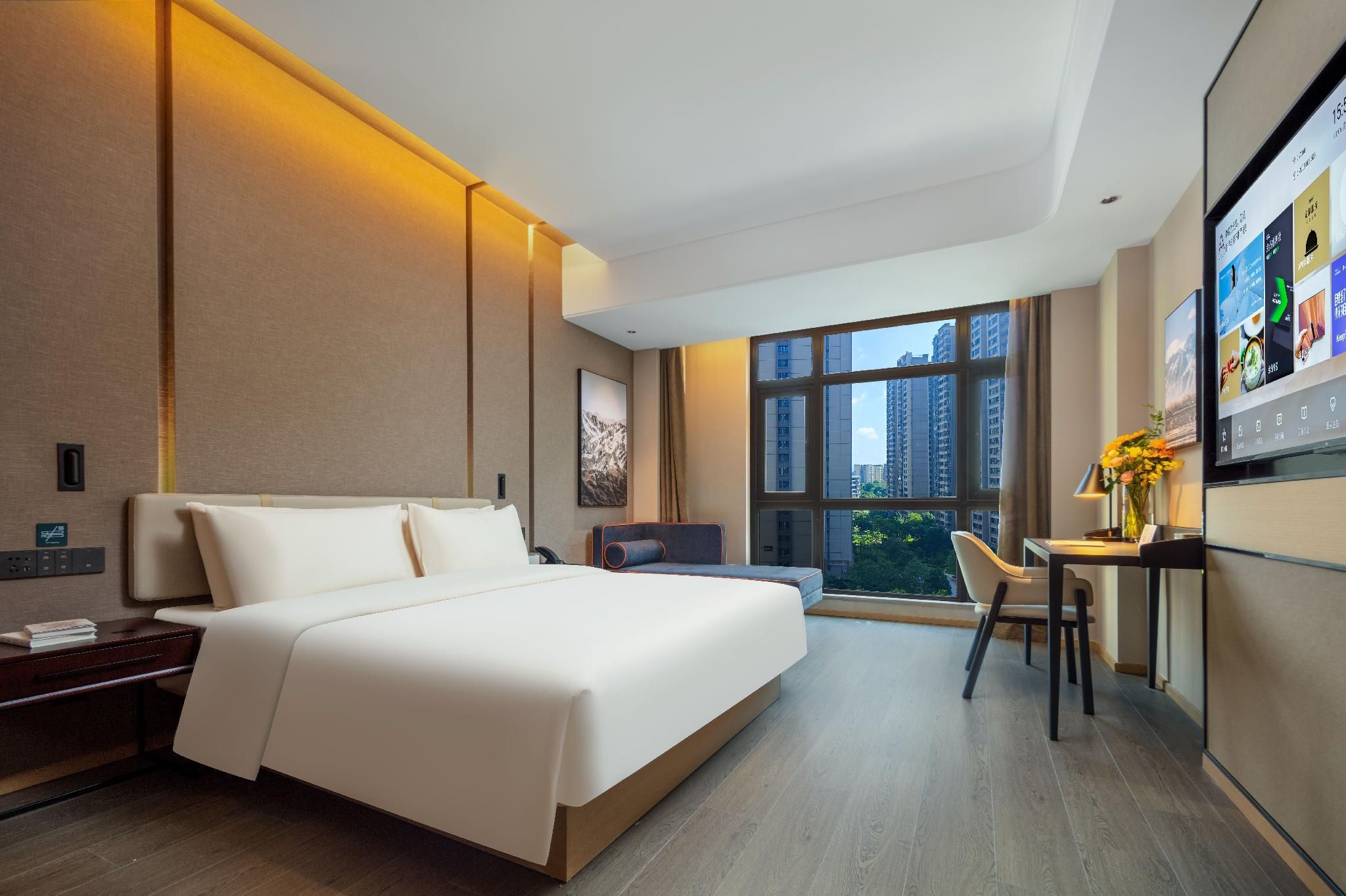 Executive room, Guest room, 1 Queen
