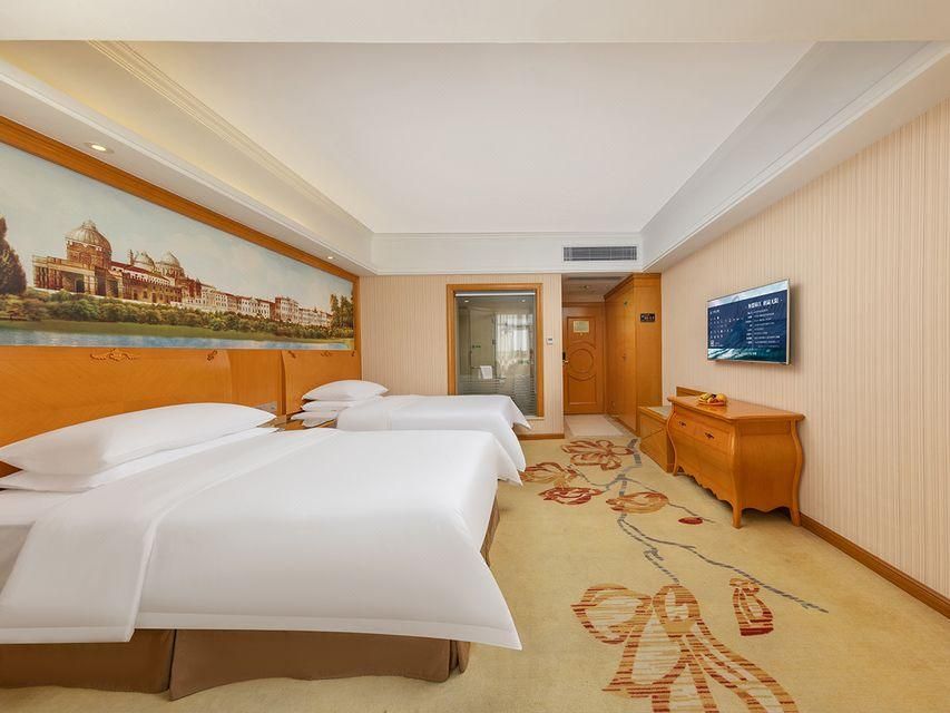 Vienna - Deluxe Twin