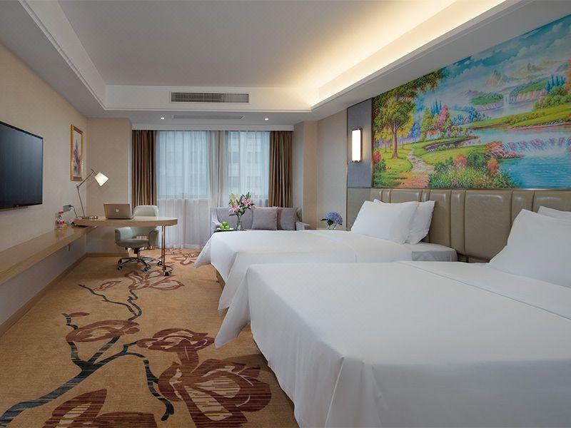 Vienna - Deluxe Room