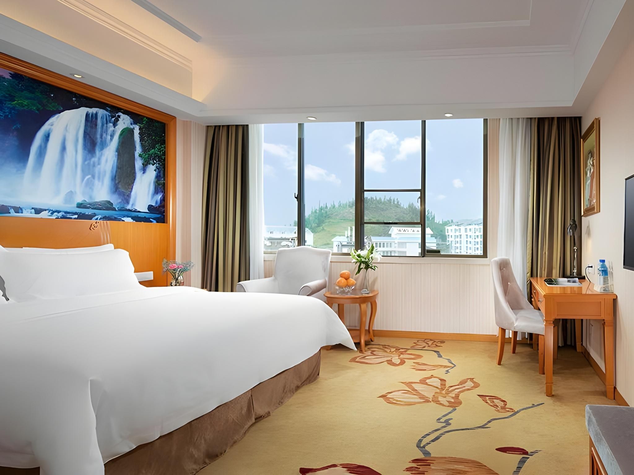 Vienna - Deluxe Room