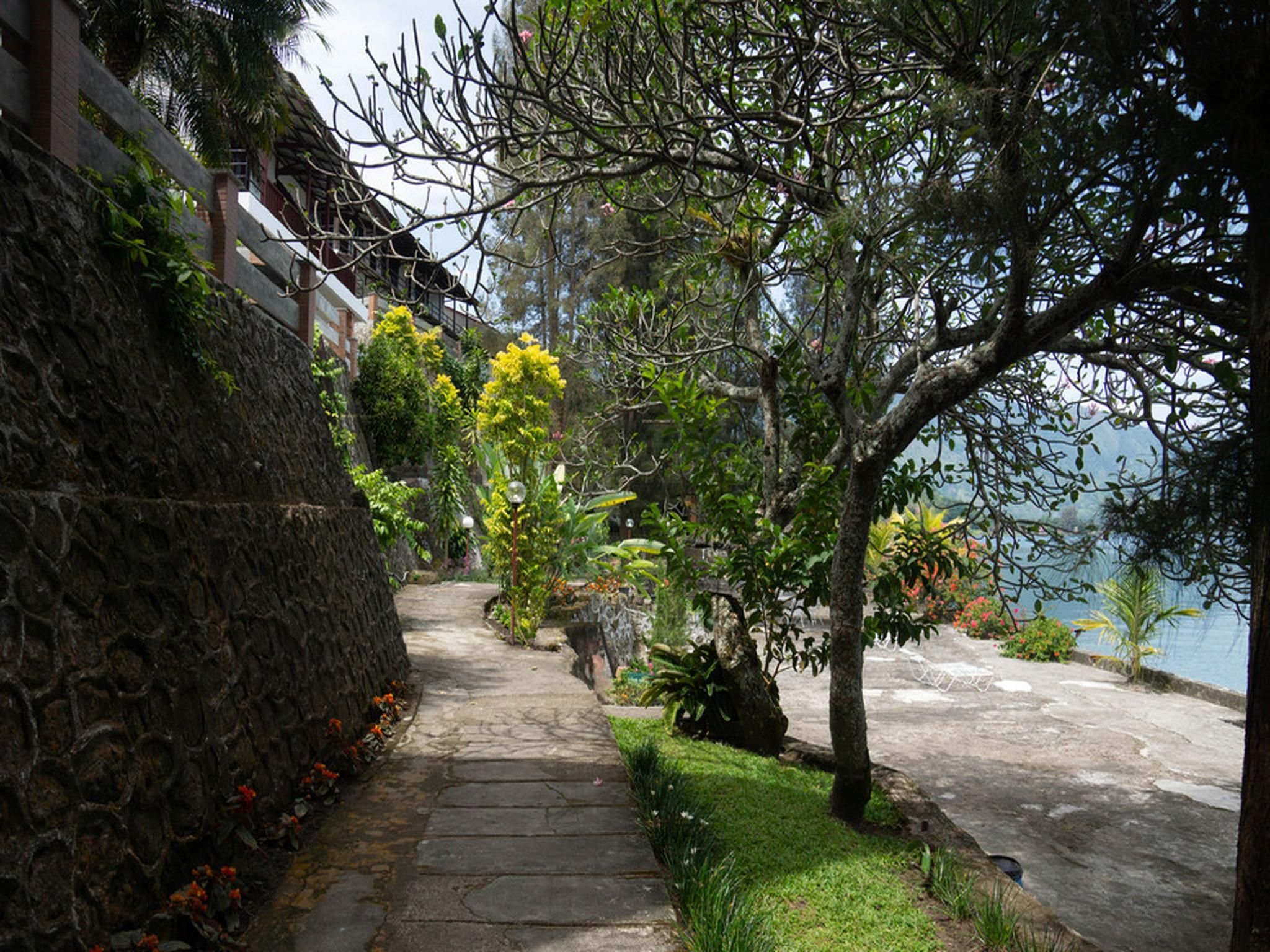 surrounding environment