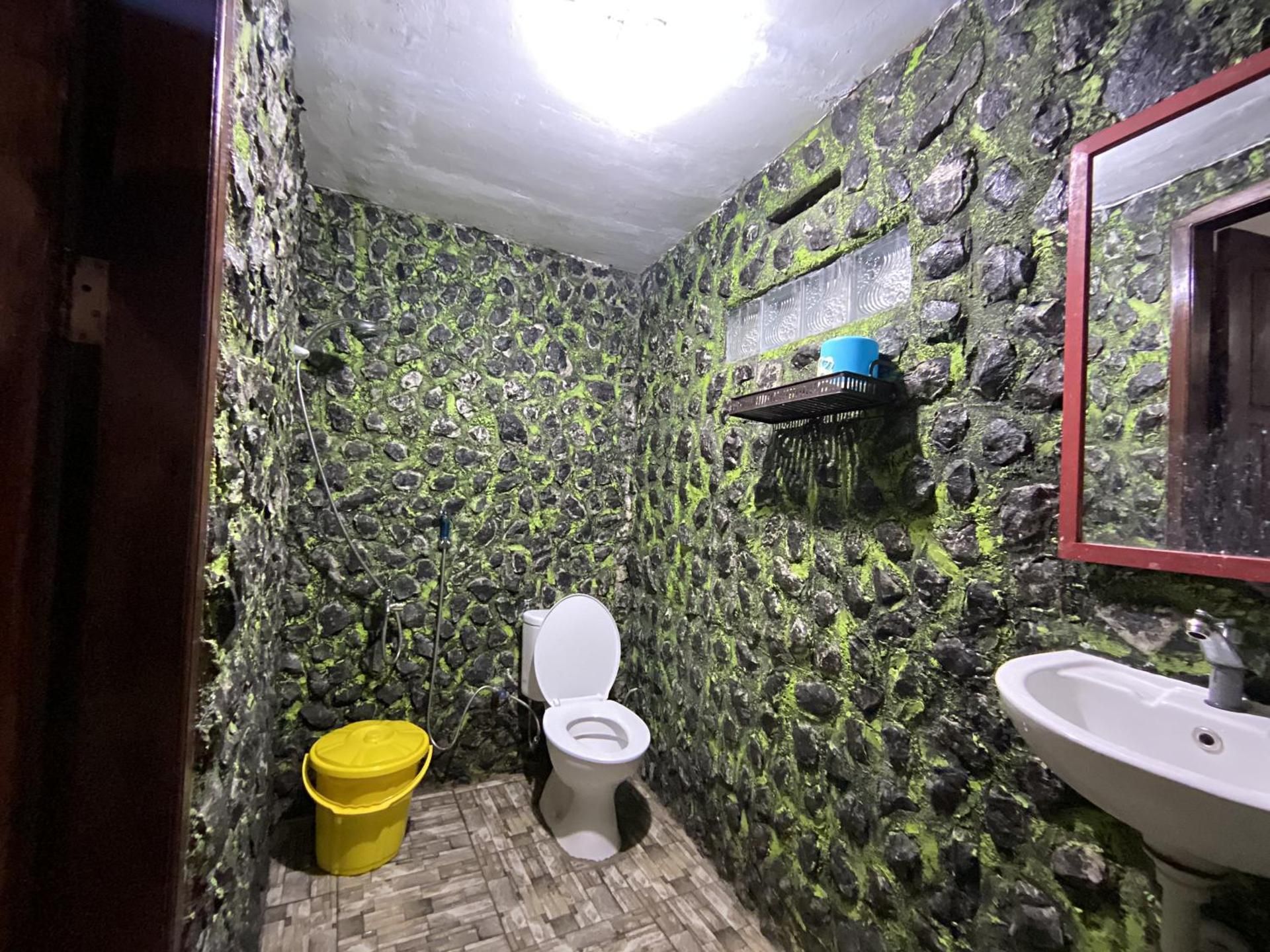 Superior Double or Twin Room with Mountain View